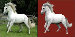 Give you 200 Photoshop Image resize, remove background 