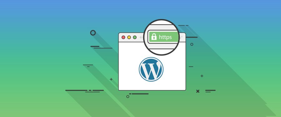 Customize Your Wordpress Theme With Page Builder for you
