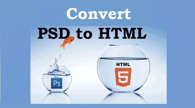  Convert Psd To HTML For You