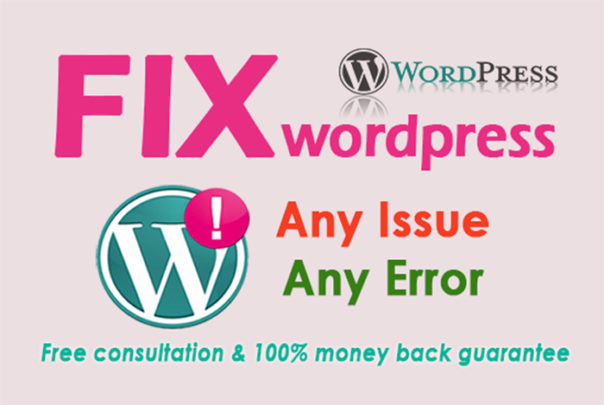 Fix Wordpress Issues, Errors and Bugs