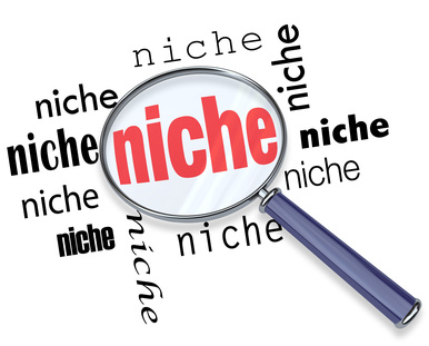 Do 20 Highly professional Niche  Research 