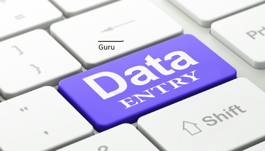  Do US/USA  Property Data Entry pdf to  Excel File