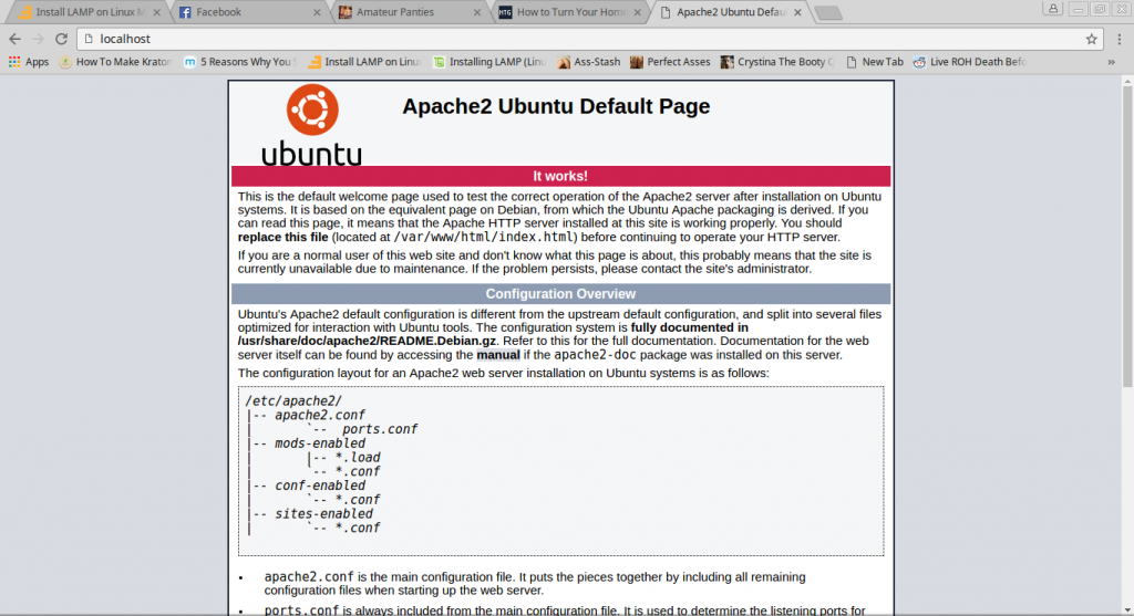 do LAMP stack setup into your Linux VPS or dedicated server (RedHat/CentOS, Debian/Ubuntu)