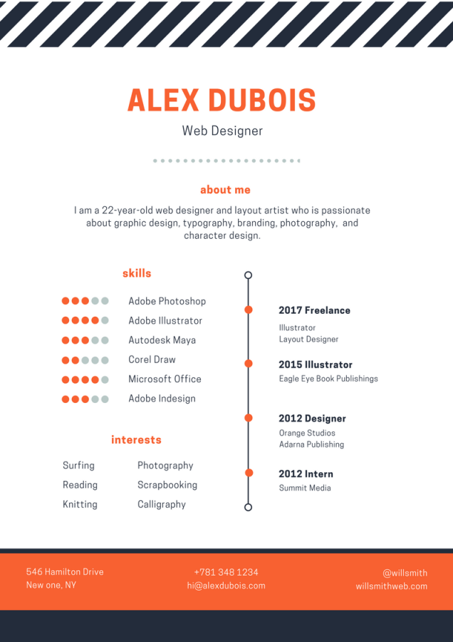 Provide A Professional Resume Writing Service Fast CV Resume