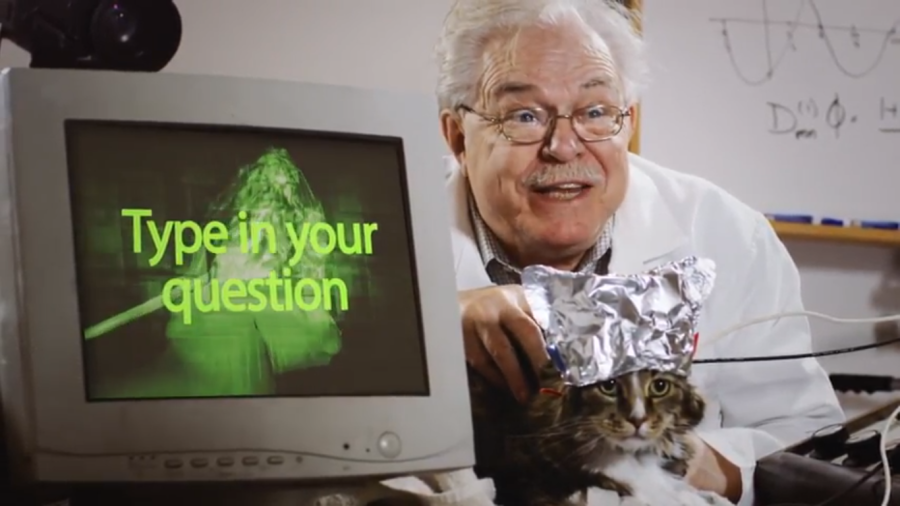 Make This Funny Promotional  Cat Video