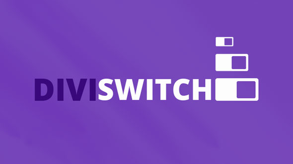 Install Divi Theme And 3 Wordpress Divi Plugins