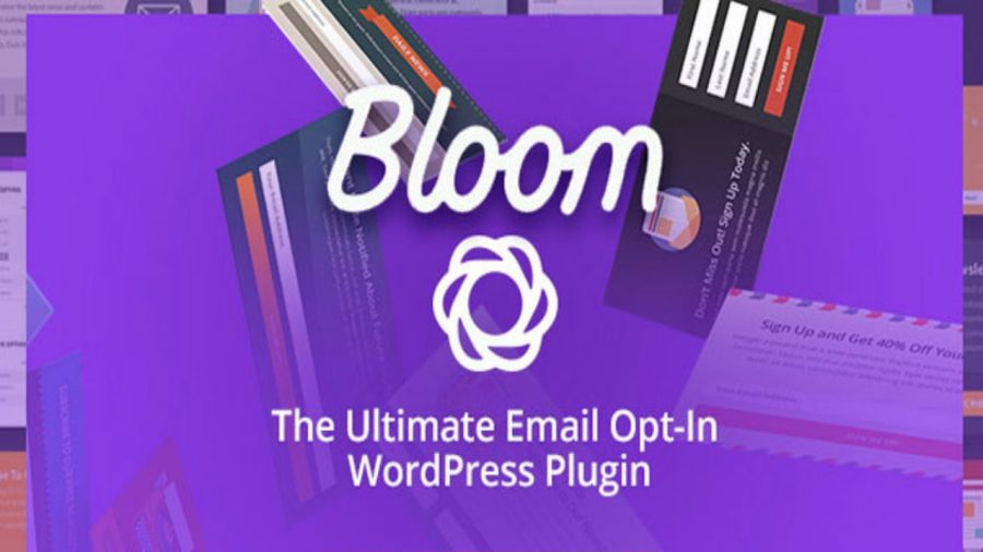 Install DIVI Theme And 2 Wordpress extra DIVI Plugins