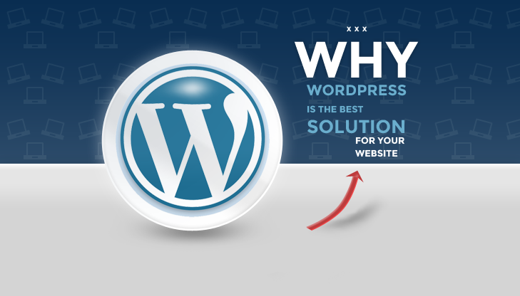 WordPress theme customization - Expert