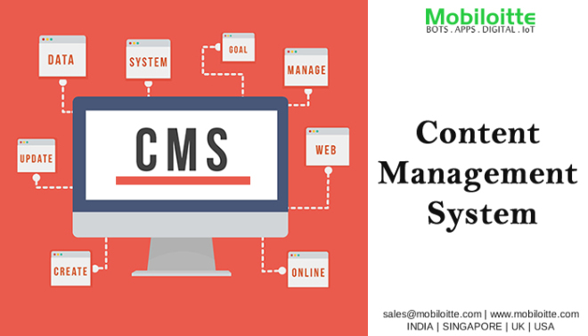 CMS Development Services
