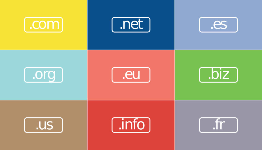 Best Domain Name for your niche