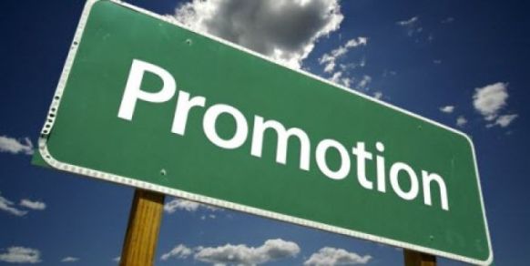 Get Permanet/Positive Review on Pagerank 3 Blog