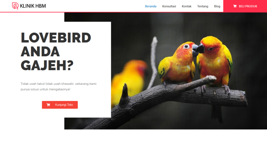 Get Professional Wordpress Responsive Website in 24H for 5$