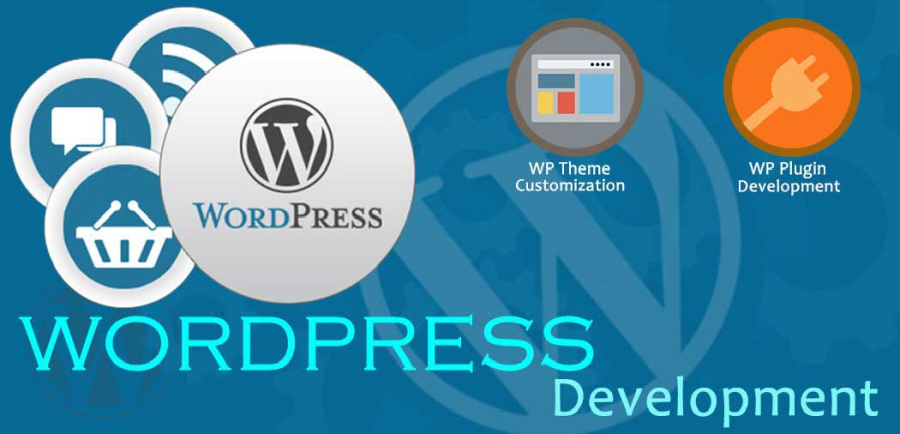Web Design and Development 
