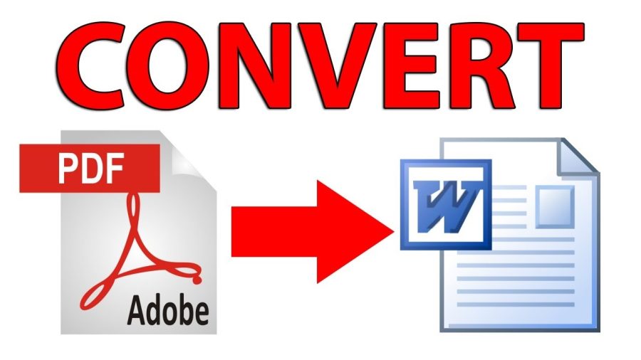 professionally convert pdf to word or word to pdf 
