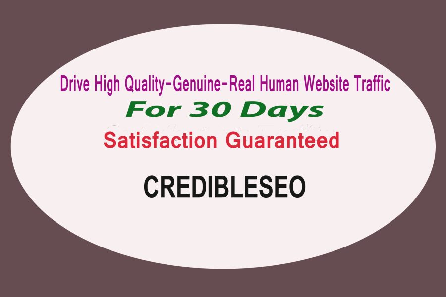 Provide High Quality,Genuine,Real Human Website Traffic Visitor For 30 Days