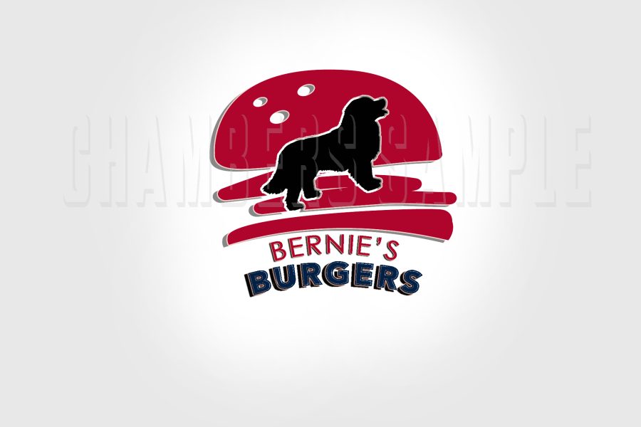 Professionally Design Professional Logo For Your Business or Company