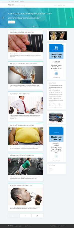 Full finished Wordpress site with domain and hosting