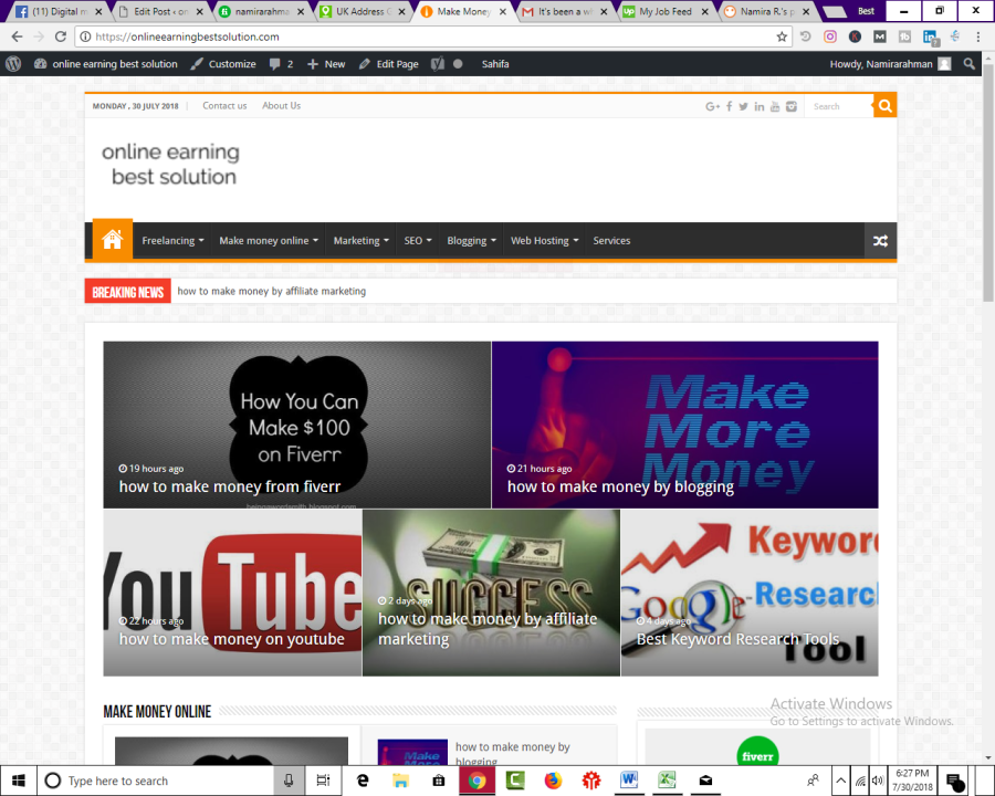 I Provide Pro Wordpress Theme And Customization