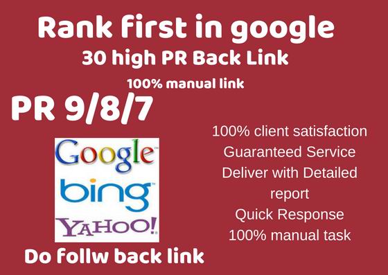 30 high quality premium back link top your site in search engine 