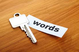 GET UNLIMITED KEYWORD TARGETED GOOGLE ORGANIC SEARCH ENGINE TRAFFIC FOR 1 MONTH