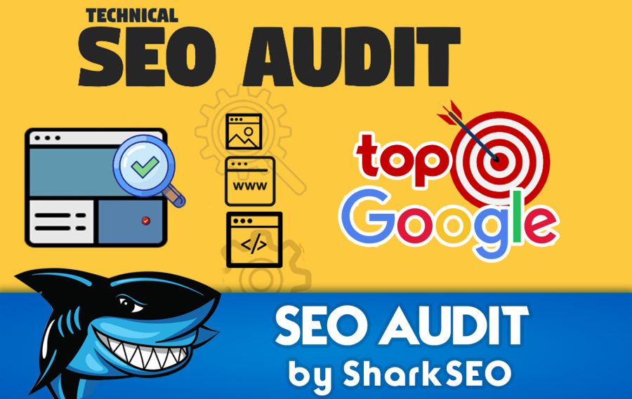 do manual site audit and promotion plan in google 