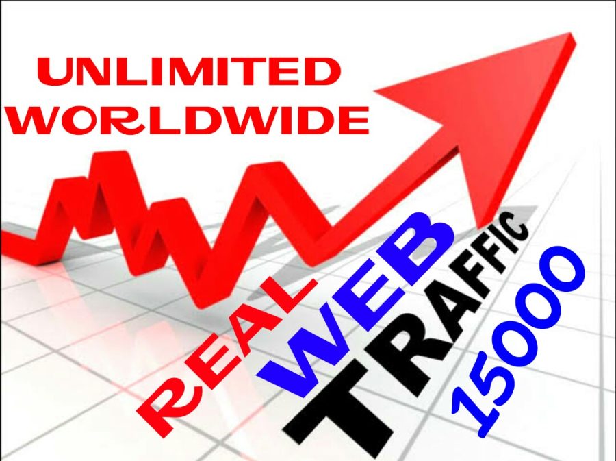 Provide 15000++ Real Human Web Traffic