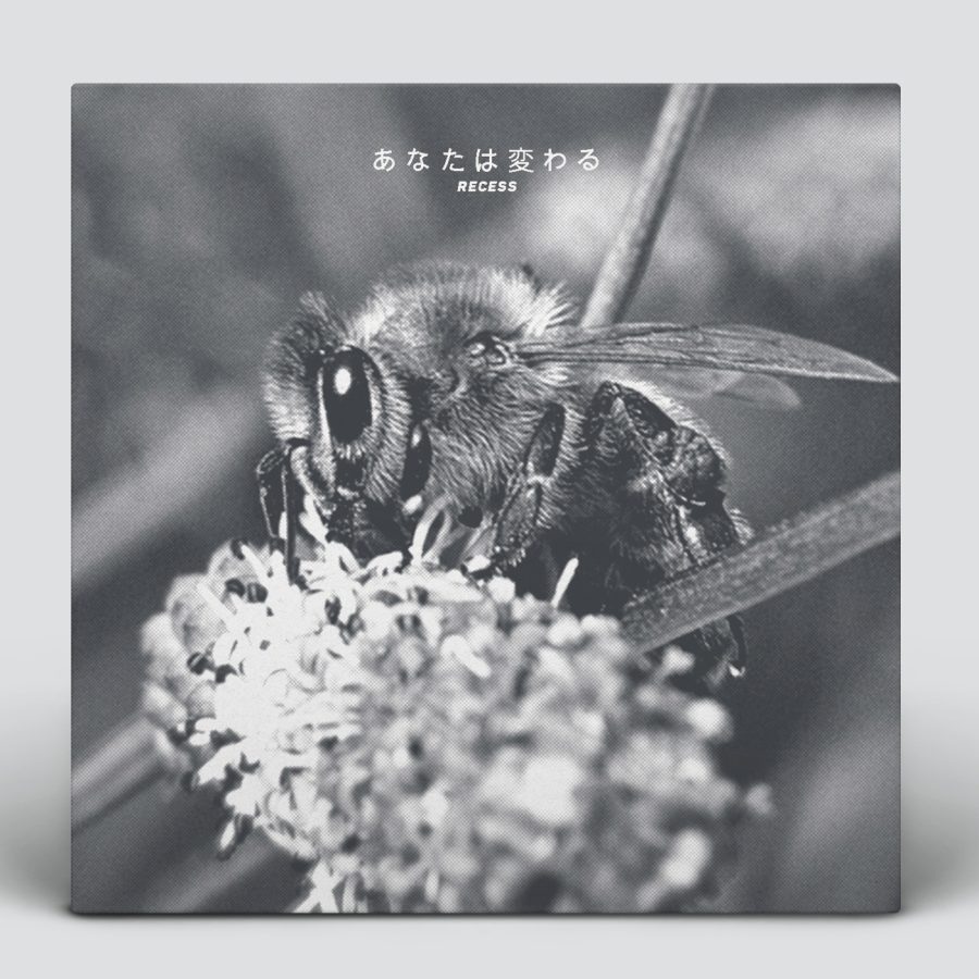  Design An Album Cover or single