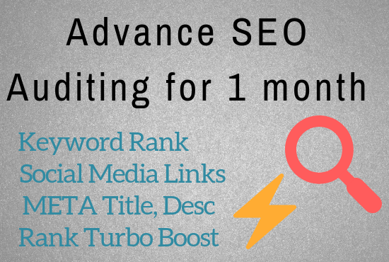 Do advance audit & SEO for 1 month