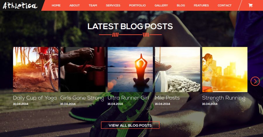 Design A Professional Looking 3 pages Wordpress Website