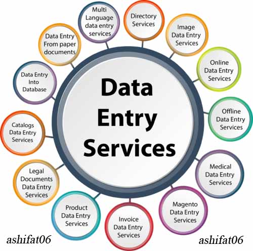Do data entry work 500 entries