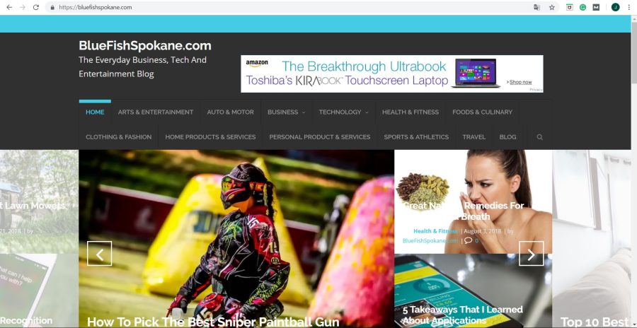 Guest post high quality site DA41 / PA42 - Link valid for Life!