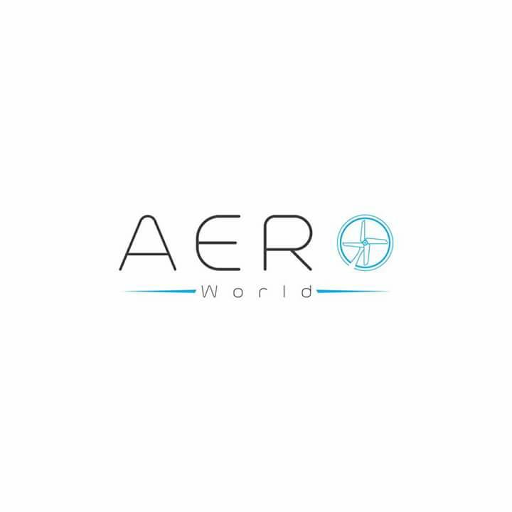EXPERT LOGO DESIGNING