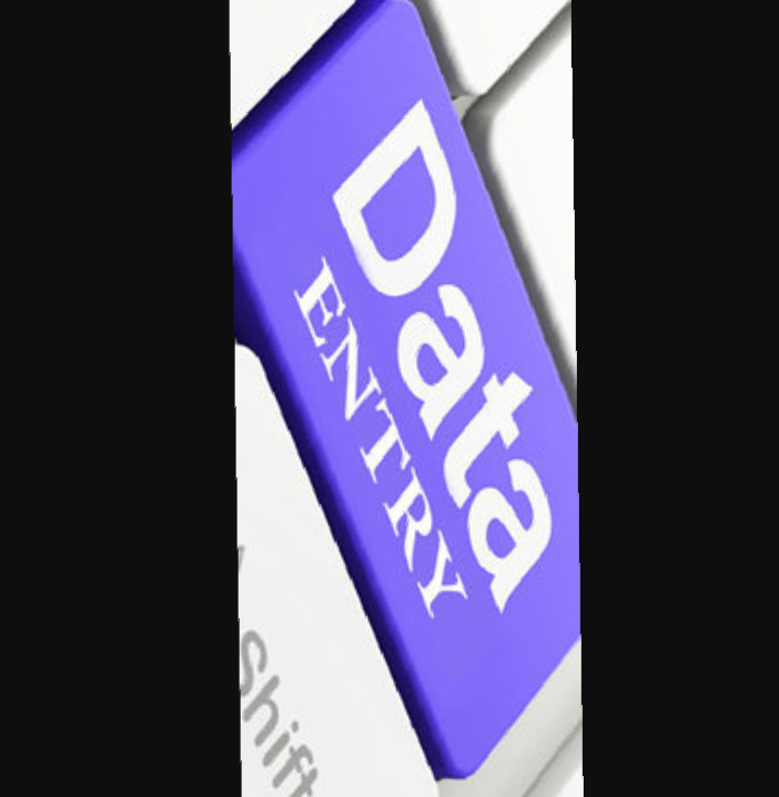 I can do your data entry work