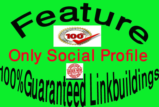 100% Guaranteed 300 Social Profile Backlinks/Link building
