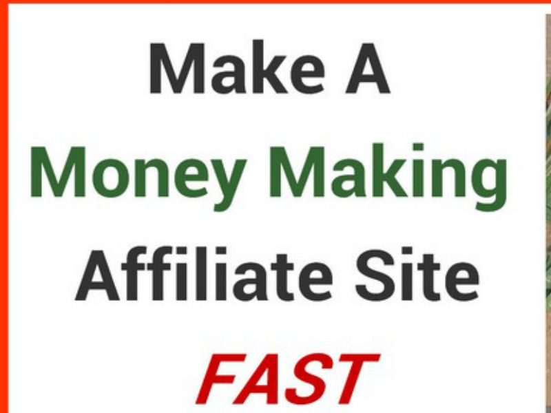 build wordpress autoblog autopilot money making website 