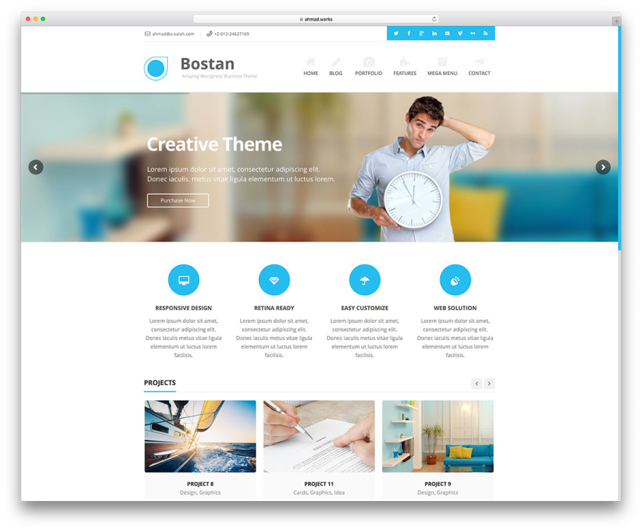 Develop Responsive SEO Friendly Wordpress Blog Or Website