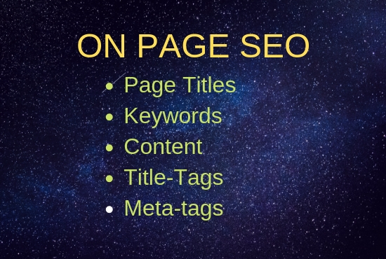On page seo for your website ,fast delivery 