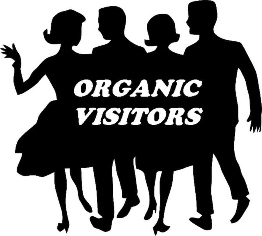 drive targeted  unlimited organic USA europa canada traffic 
