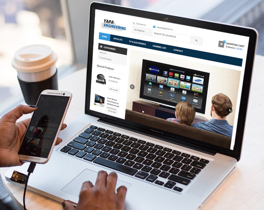Create A Responsive Wordpress Website Design And Web Store