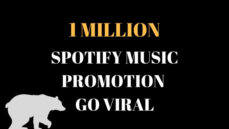 do promote your seoclerks track, seoclerks music promotion 