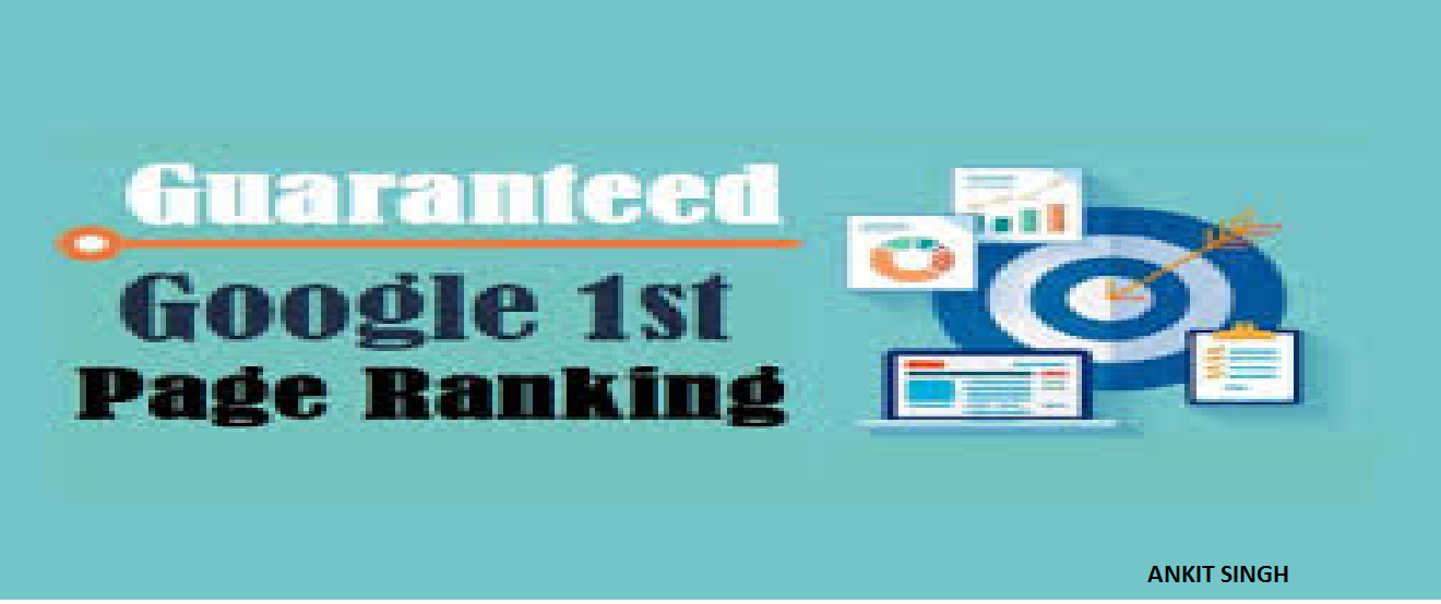 SEO Services - 100% Keyword Rank Guarantee On Google 