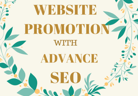  provide advance SEO to your website promotion