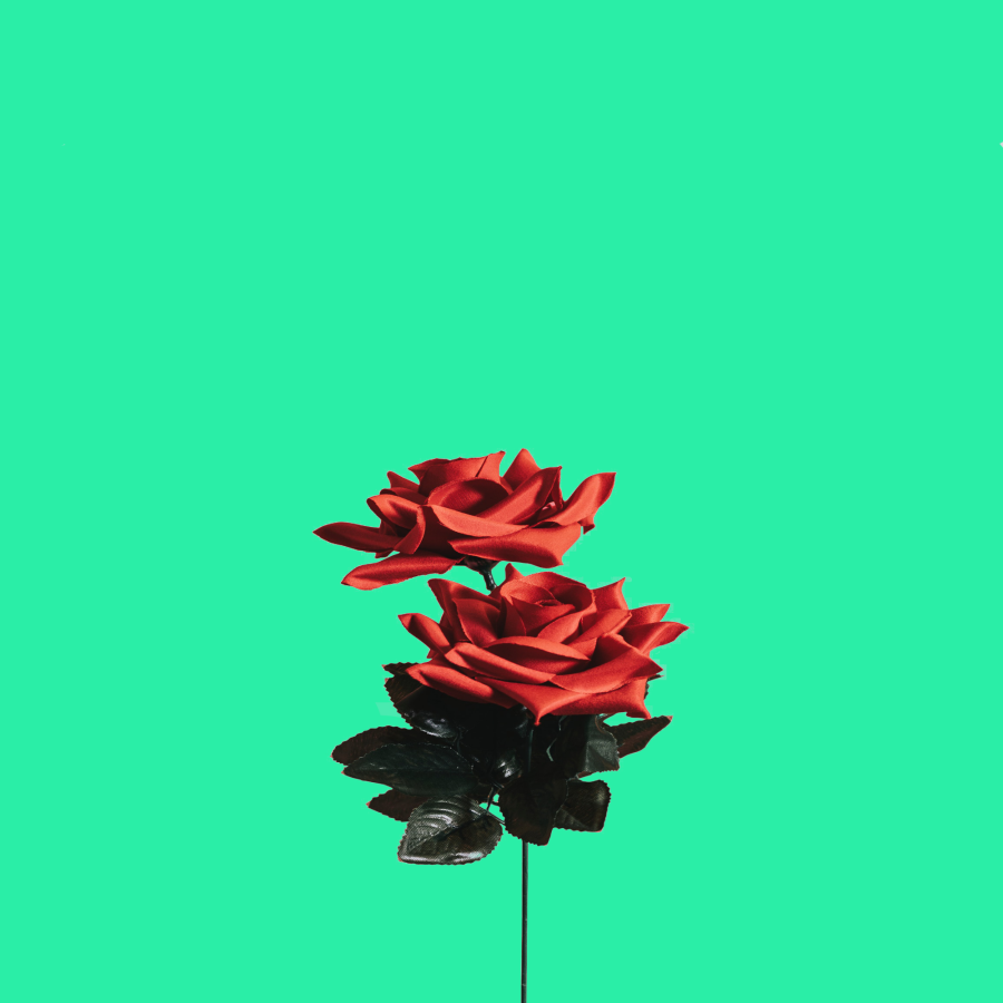 remove or change any Background in Photoshop from 20 images