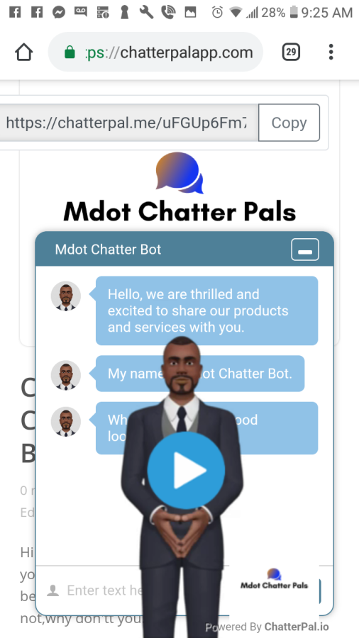 Custom Made Animated Chat Bot For Your Blog/Business WebSite