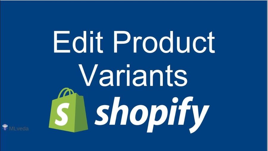 write your 10 seo optimized shopify product description