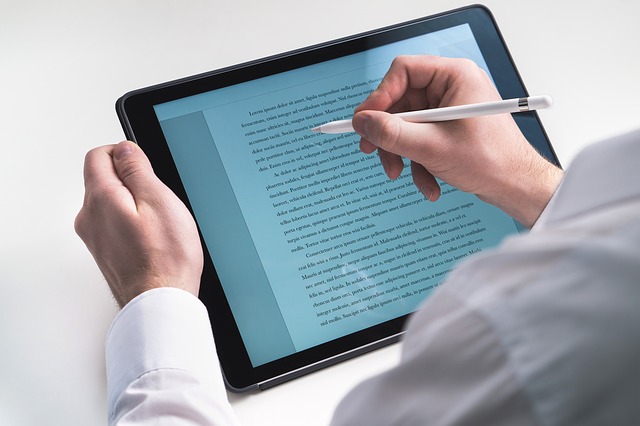 Professional Virtual Assistant
