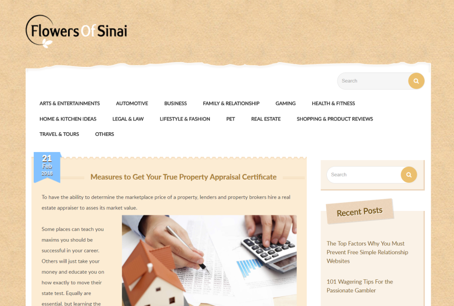 Do 50 high metrics Powerful Homepage PBN links contextual backlinks