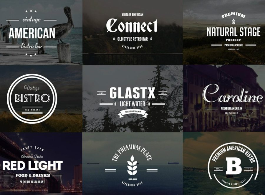 design professional business logo design