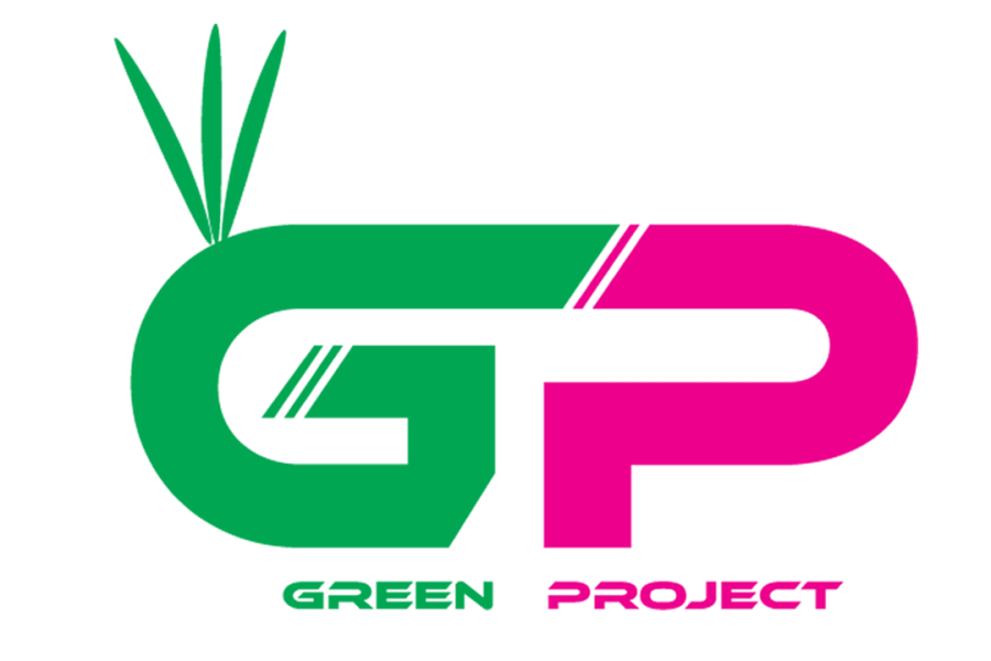 design a professional logo within 