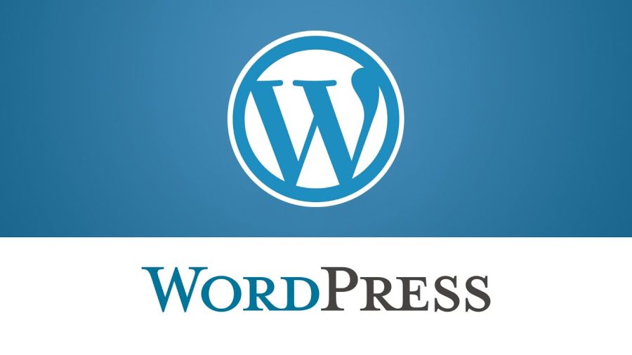  custom wordpress website design 